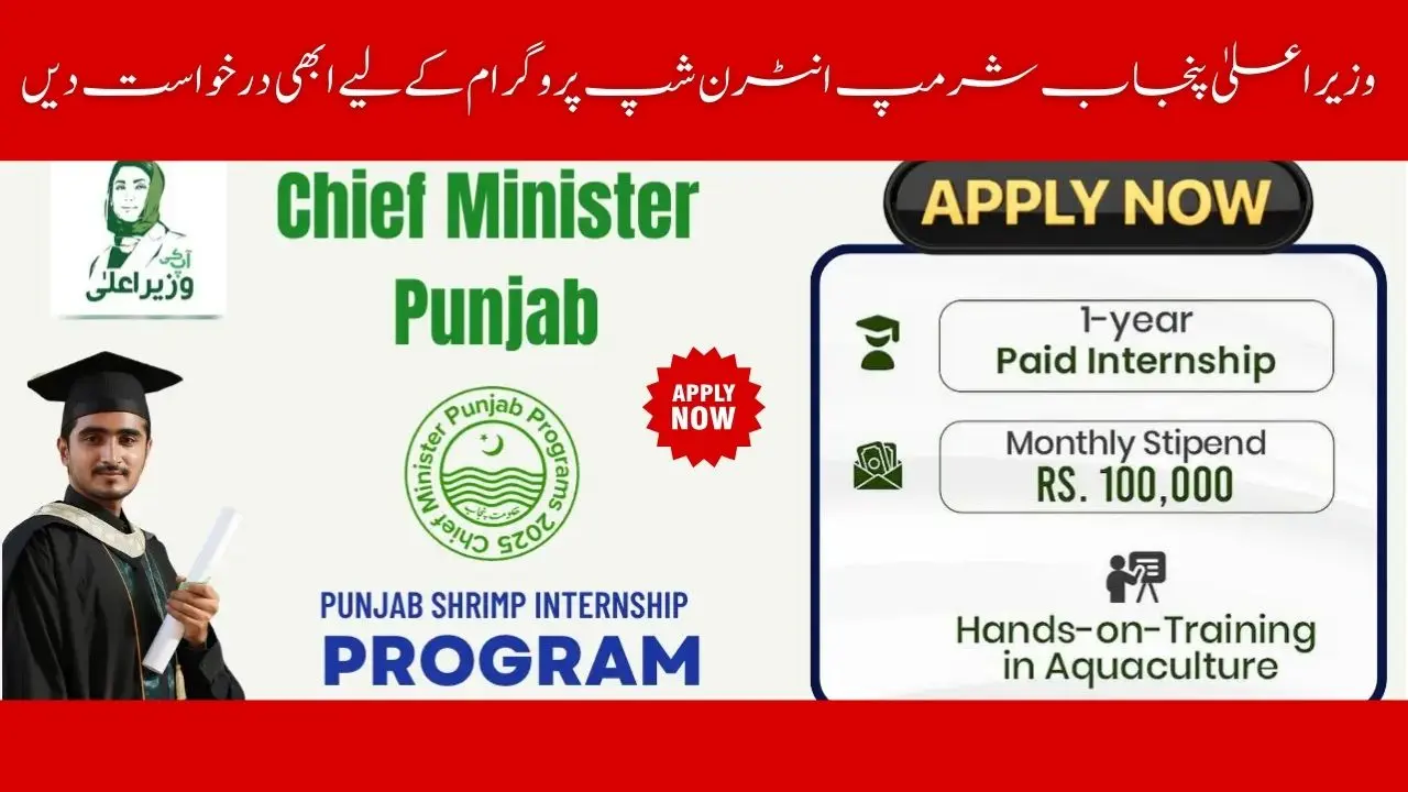 CM Punjab Shrimp Internship Program