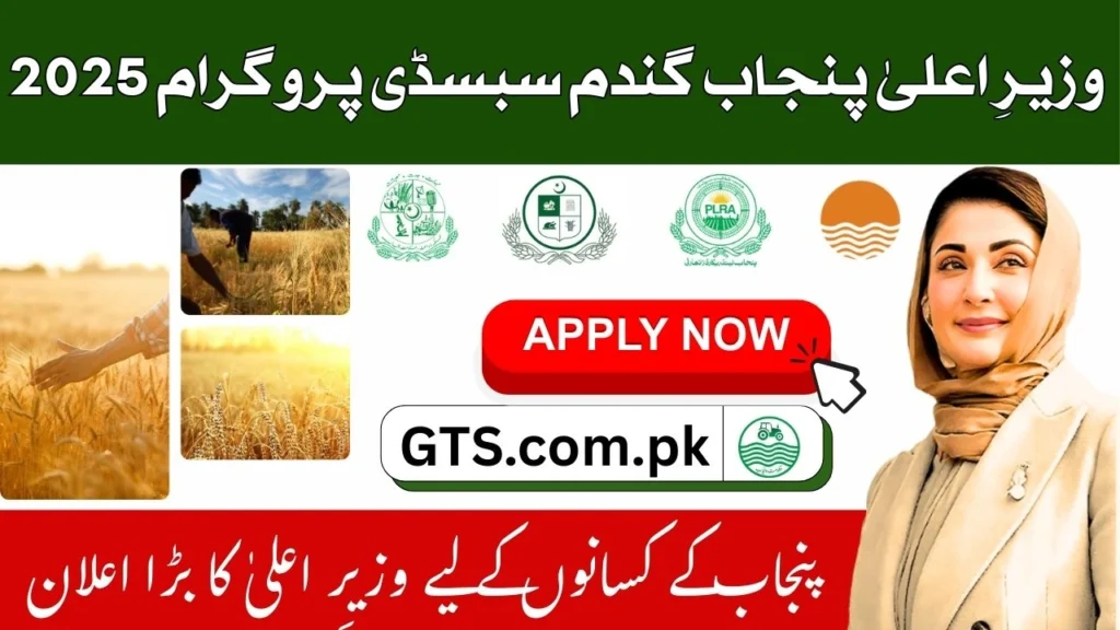 CM Punjab Wheat Support Program 2025 