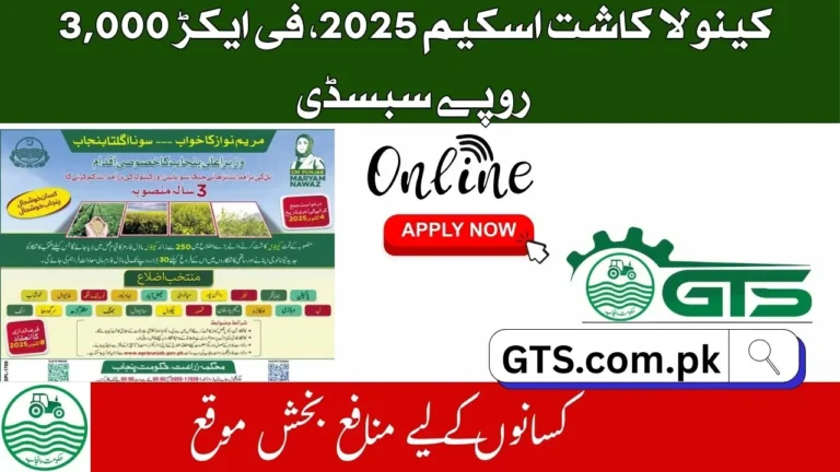 Punjab Canola Cultivation Scheme 2025