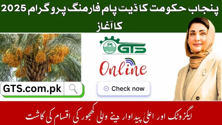 Punjab Date Palm Farming Program 2025