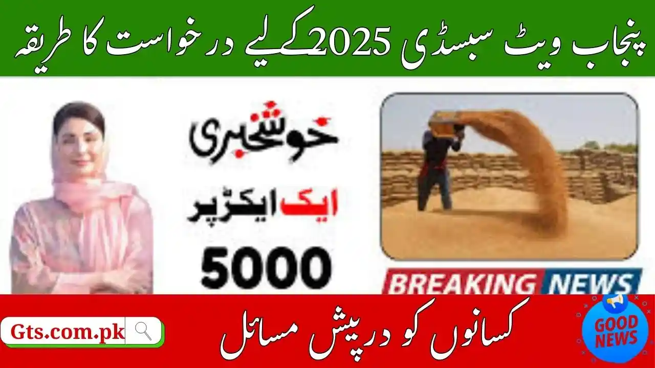 Punjab Wheat Subsidy 2025 Eligibility