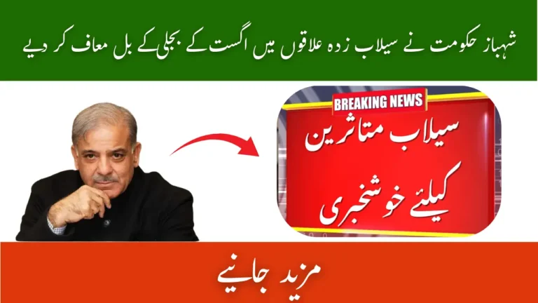 Shehbaz Govt Waives Off August Electricity Bills in Flood Regions 2025