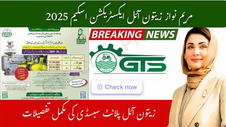 Maryam Nawaz Olive Oil Extraction Scheme 2025 – Apply Now