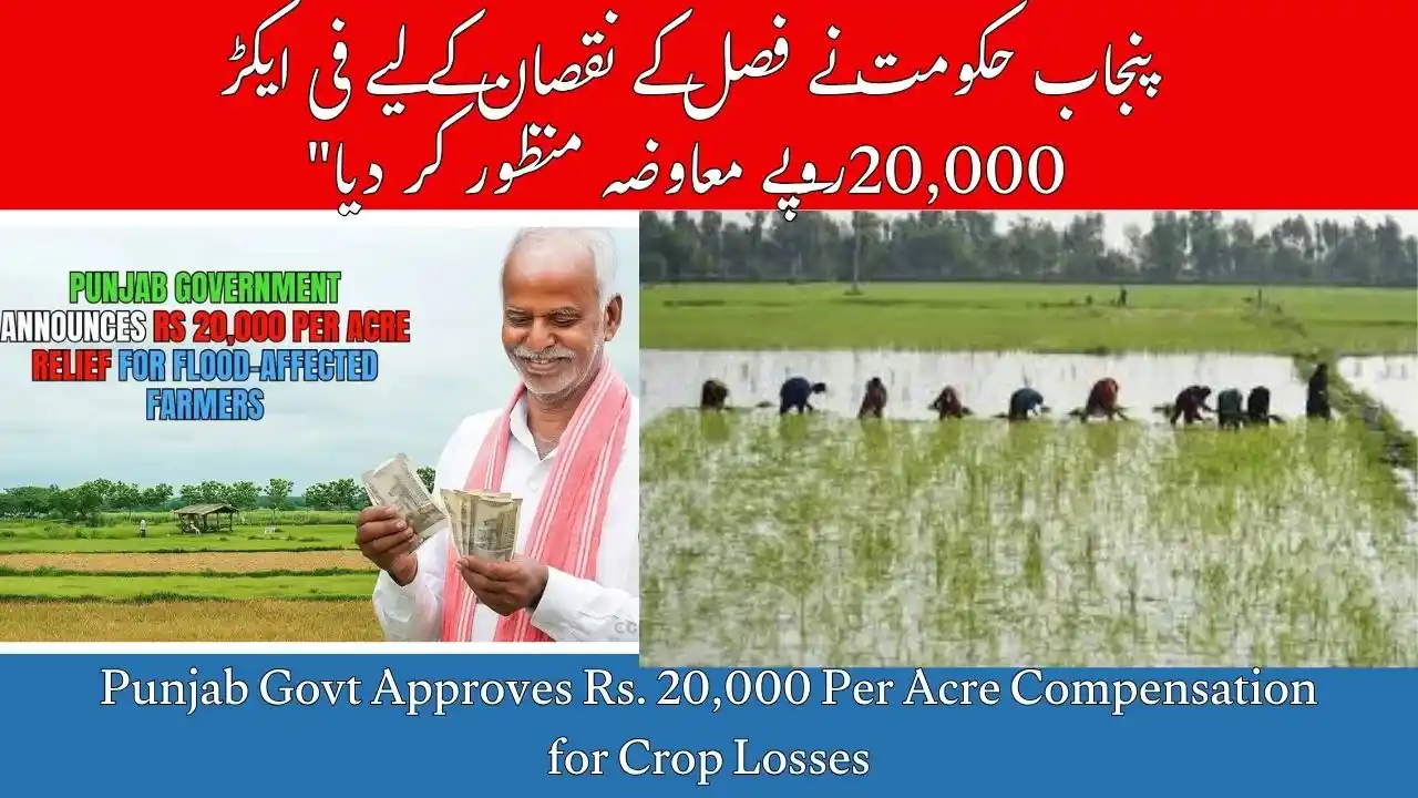 Punjab Govt Approves Rs. 20,000 Per Acre Compensation for Crop Losses