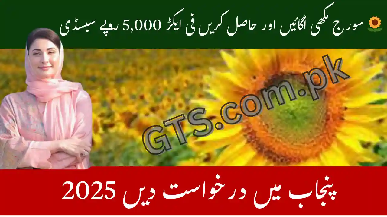 Punjab Sunflower Subsidy Scheme 2025