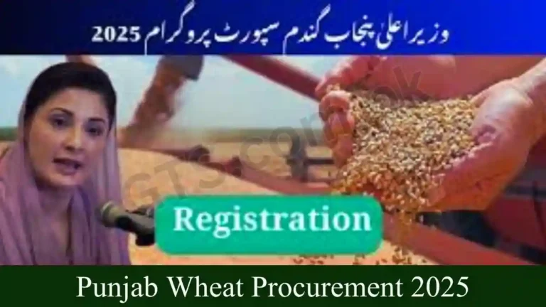 Punjab Wheat Procurement 2025