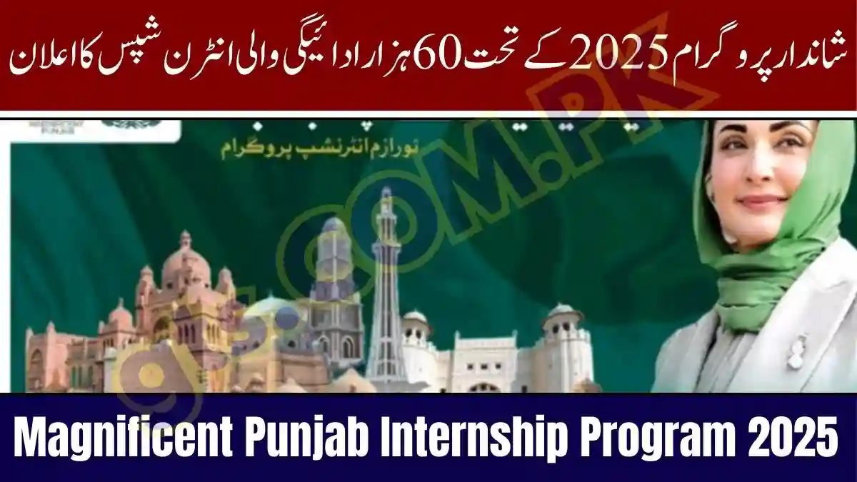 Magnificent Punjab Internship Program 2025