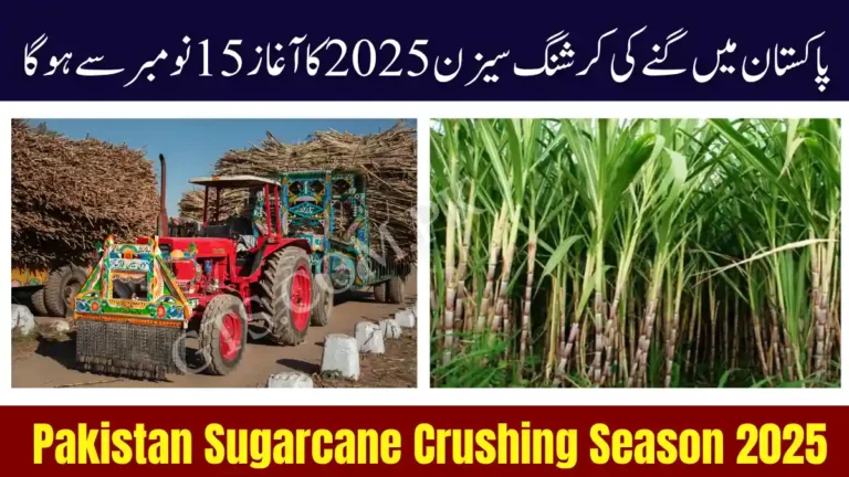 Pakistan Sugarcane Crushing Season 2025