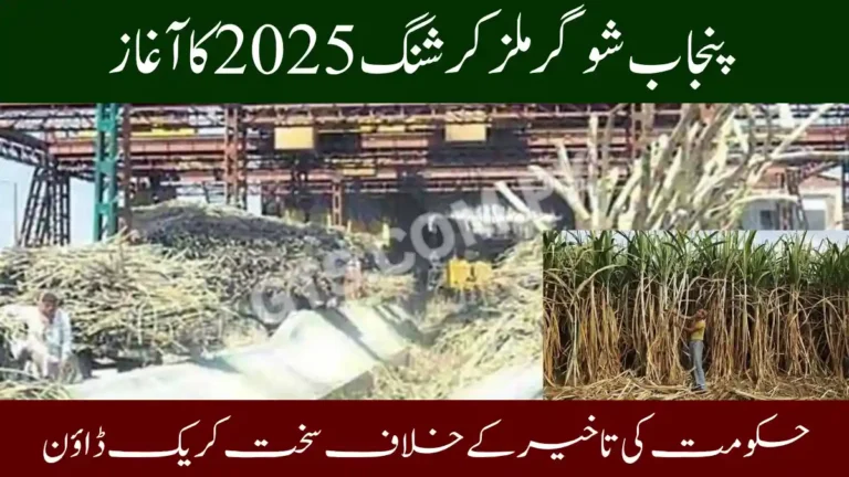 Punjab Sugar Mills Crushing 2025