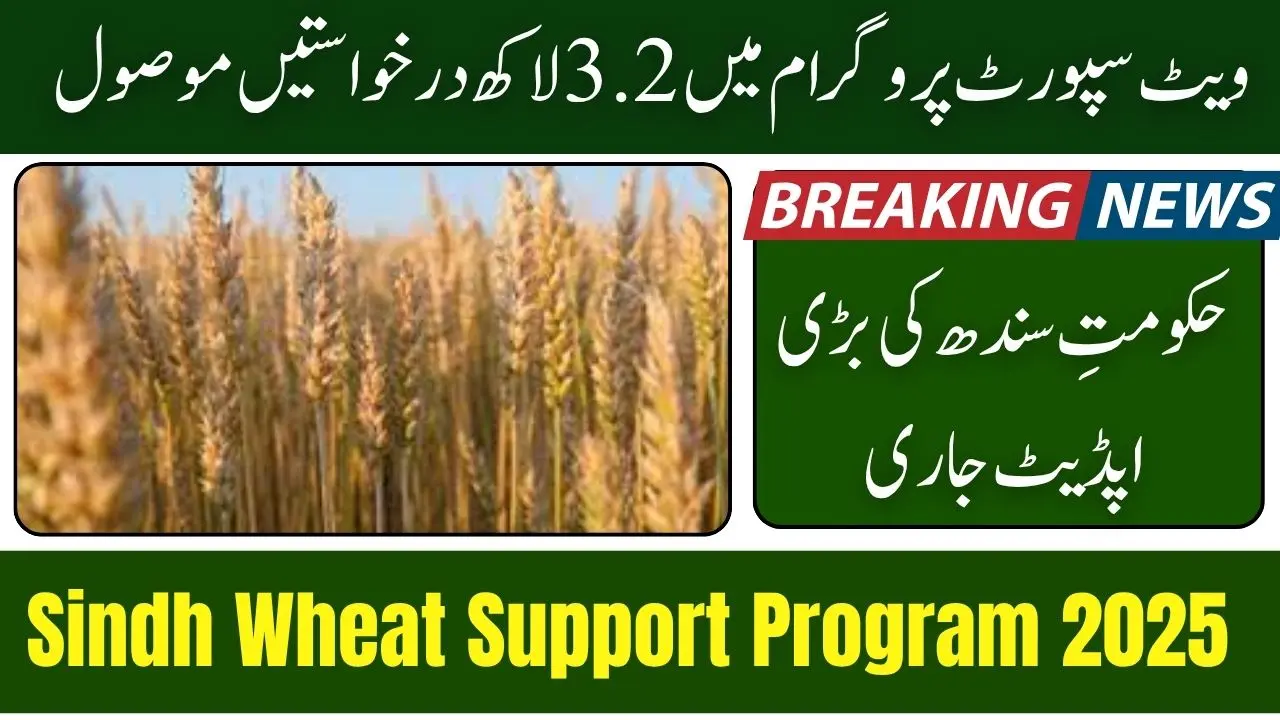 Sindh Wheat Support Program Receives 320,000 Farmer Applications
