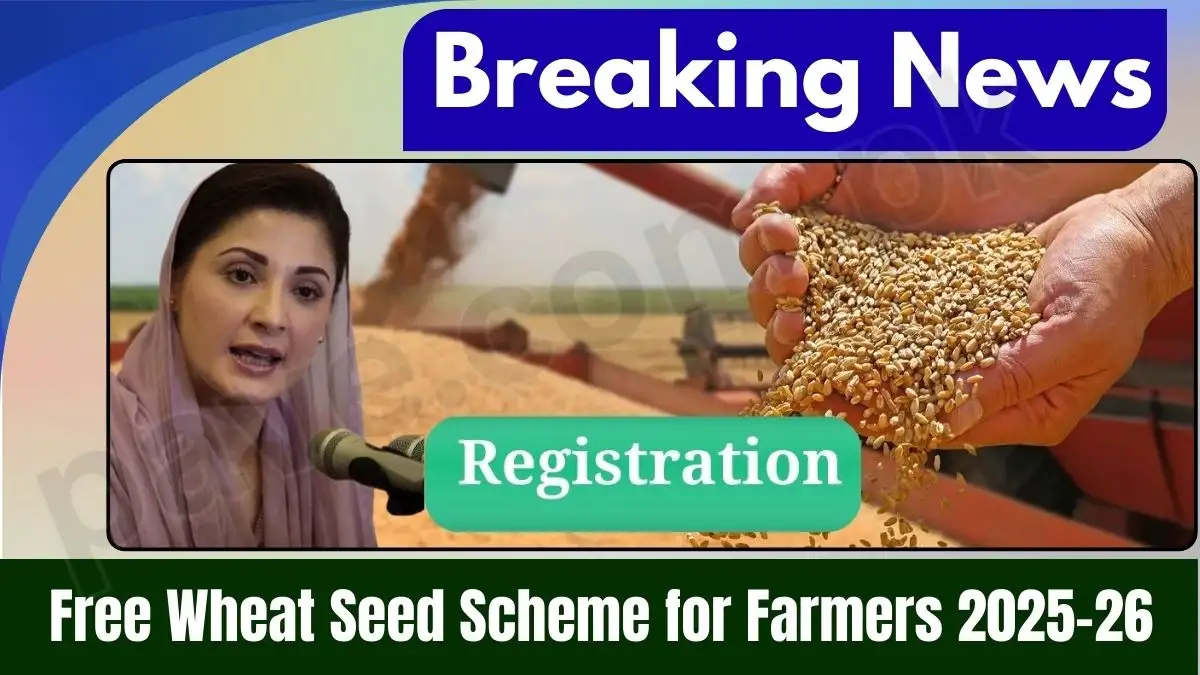CM Punjab Announces Wheat Seed Subsidy Program for Farmers